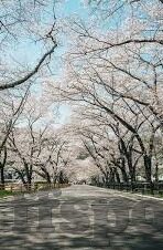 今天法国足球比分-今日法国足坛激战，比分背后的战术博弈与球星闪耀