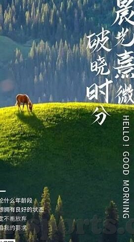 足球比分直播188号-足球比分直播188号，一场跨越屏幕的热血狂欢